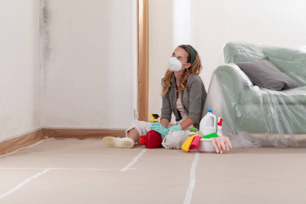 Reliable Mold Remediation contractor in Fayetteville, PA by WQB Mold Removal